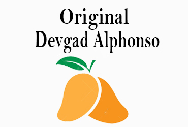 Original_Devgad_Alphonso's