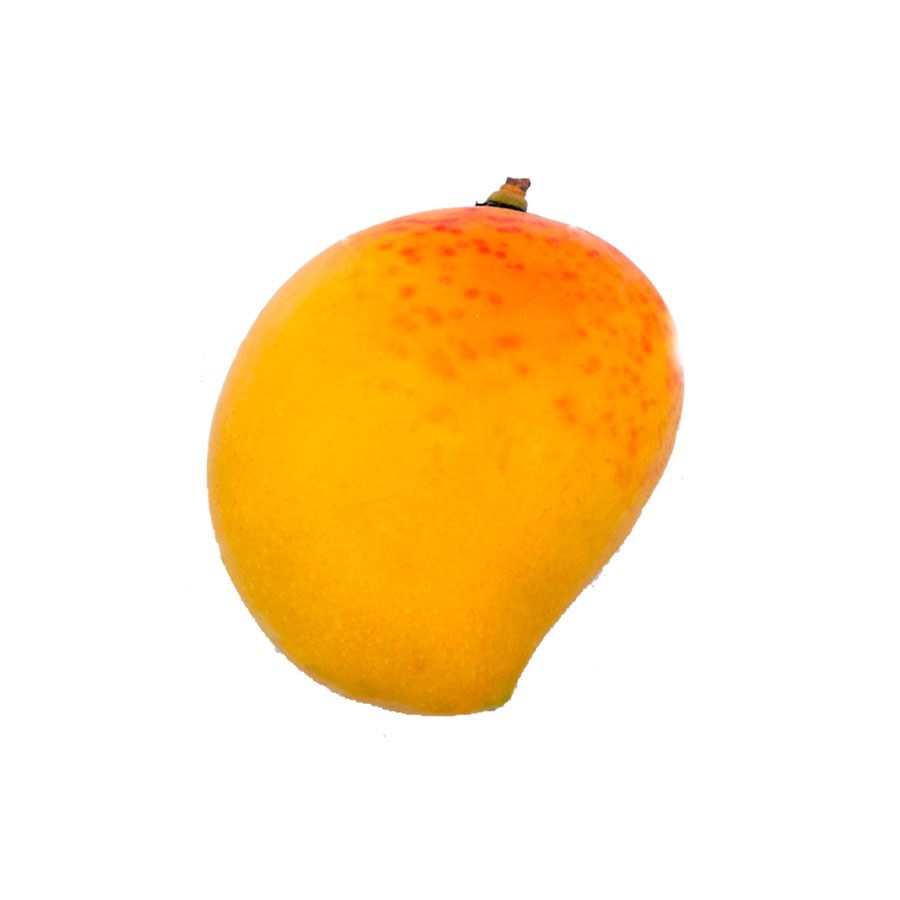 E_grade_alphonso_mangoes